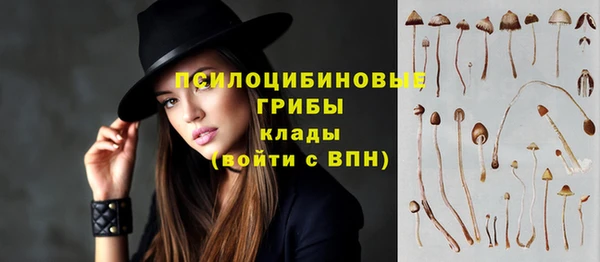 мдпв Каменногорск