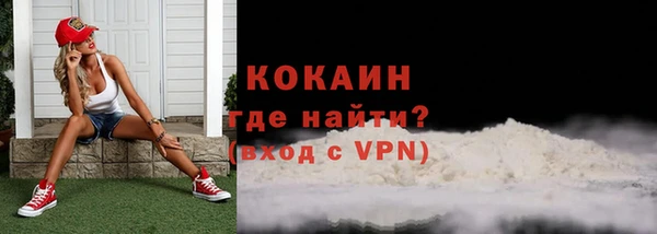 дживик Абинск