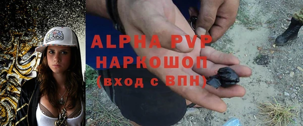 дживик Абинск