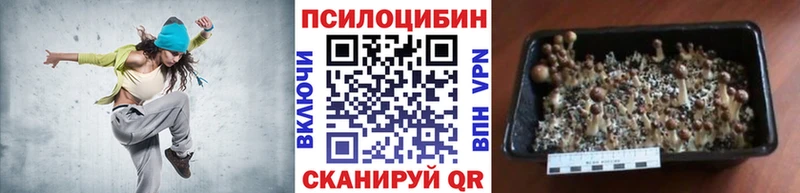 KRAKEN ссылка  купить   Усть-Катав  Псилоцибиновые грибы мухоморы 
